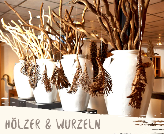 Hölzer &Wurzeln