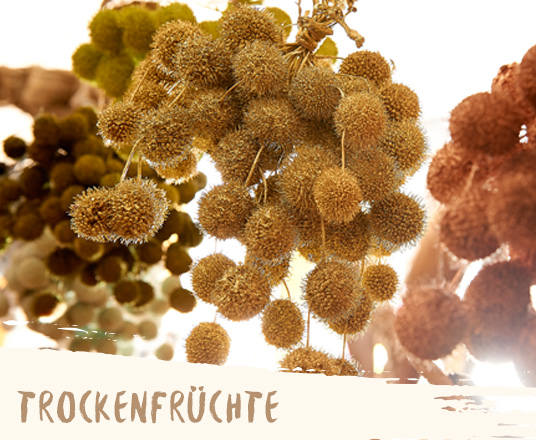 Trockenfrüchte